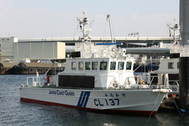 CL-137 ݂