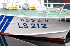 LS-212 킩Ђ@D