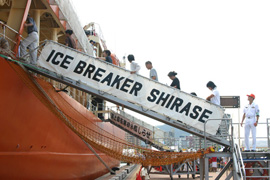 ICE BREAKER SHIRASE