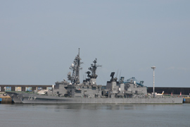 DDG-169 