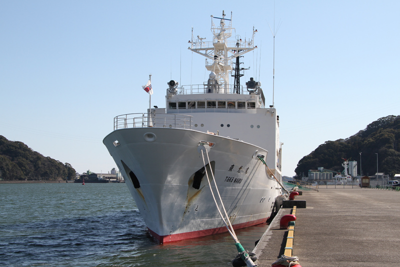 ���Ǝ���D�E������ Toko Maru